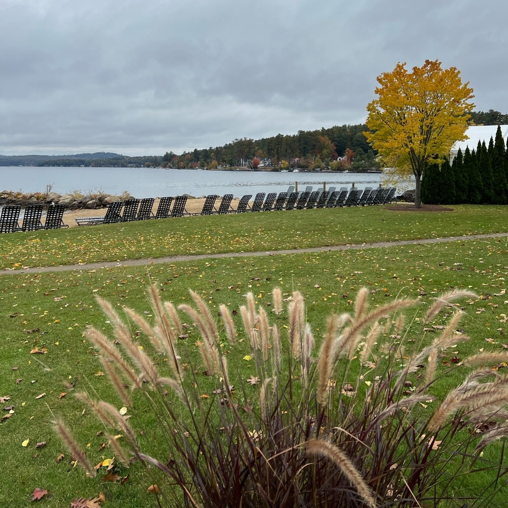 Meet your Posher, Elvira